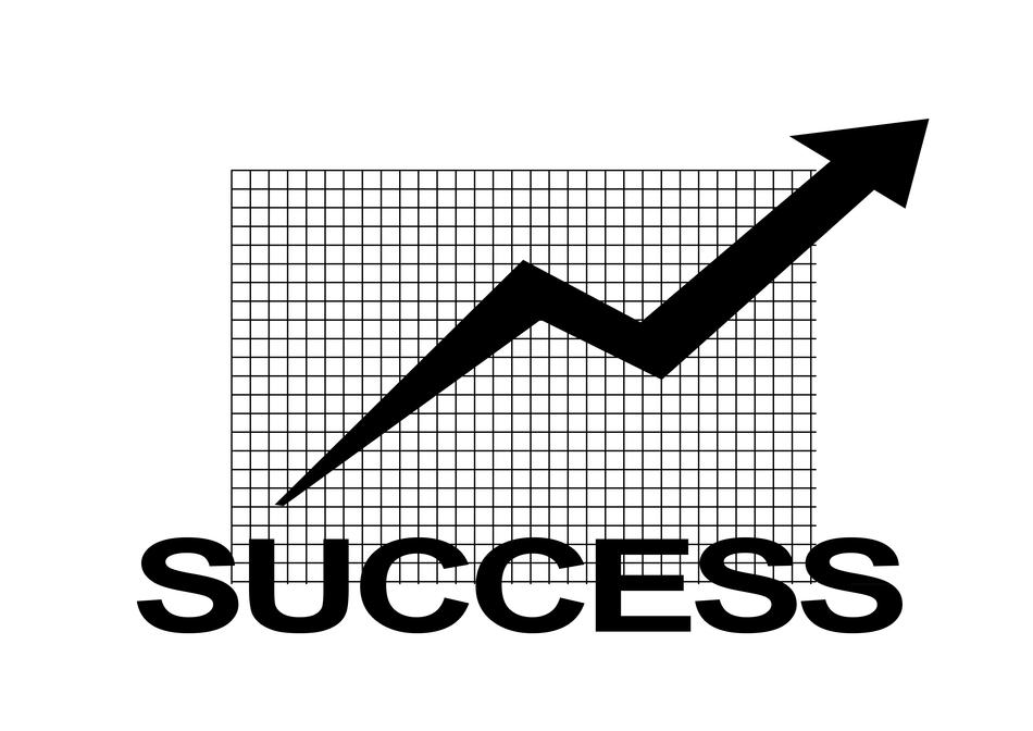 profit successful aspiring