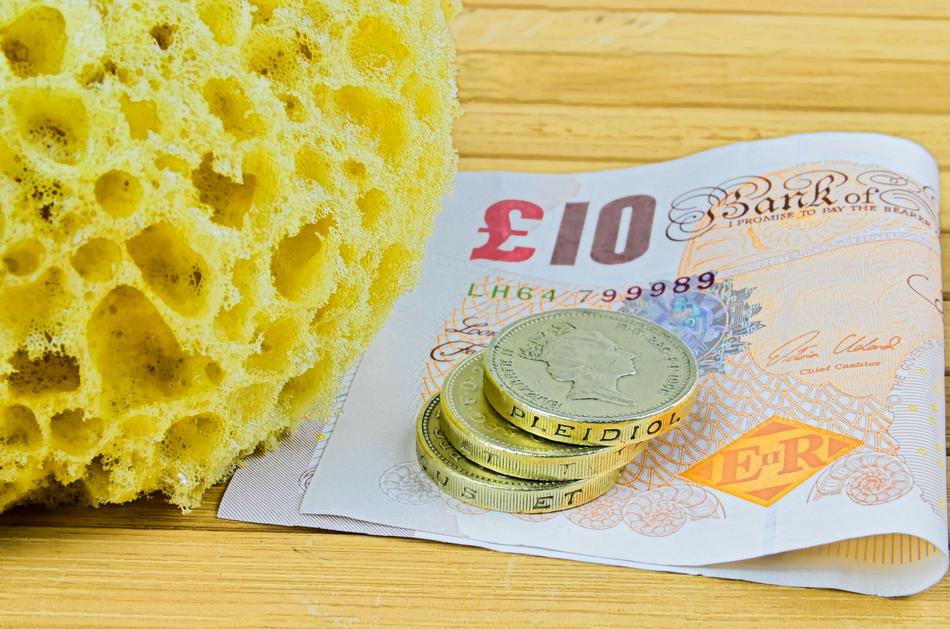 yellow sponge, the greenback and coins
