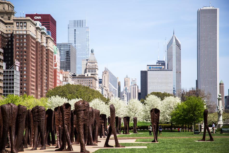 trees near office buildings