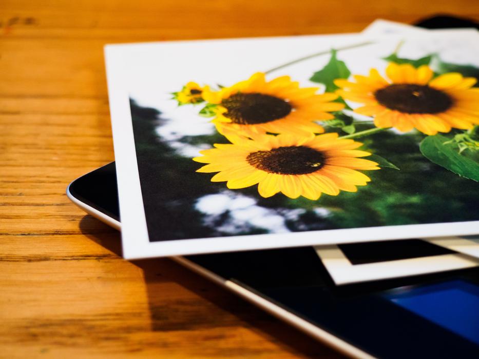 Picture of the beautiful and colorful sunflowers, on the other pictures, on the Ipad, on the wooden table
