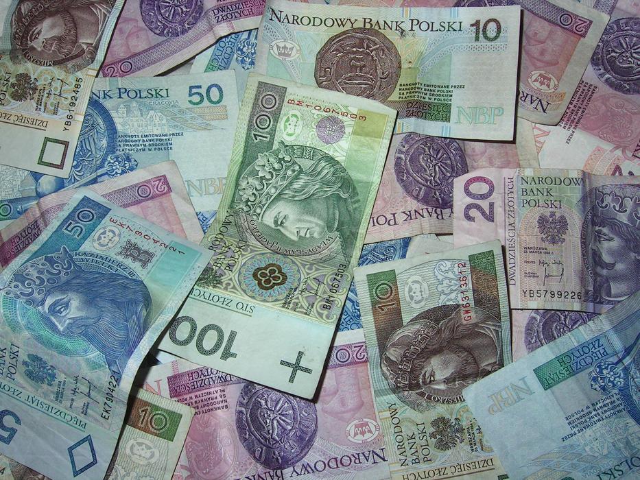 Polish Banknotes Buck