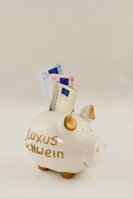 Euro Seem Money