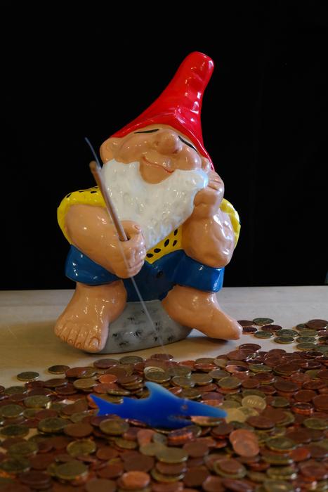 Dwarf Money Fish