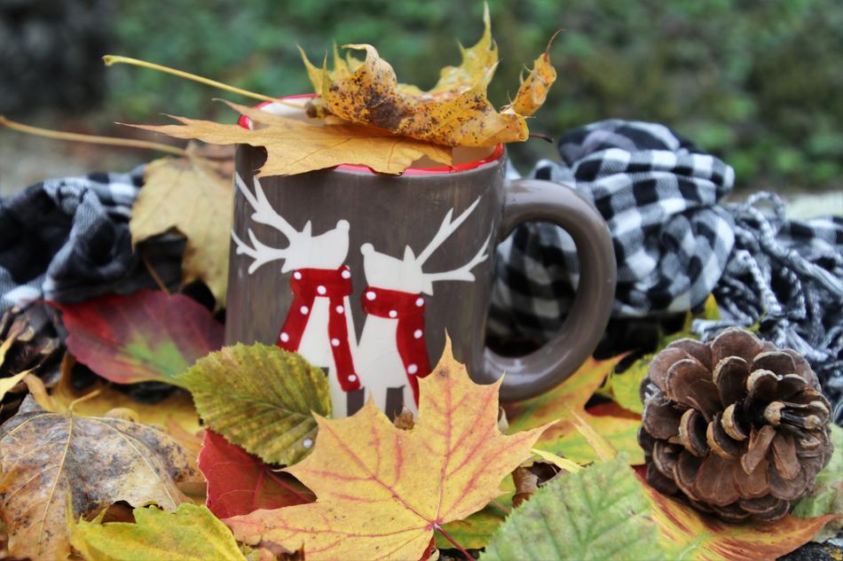 Time Tea Colors Of Autumn