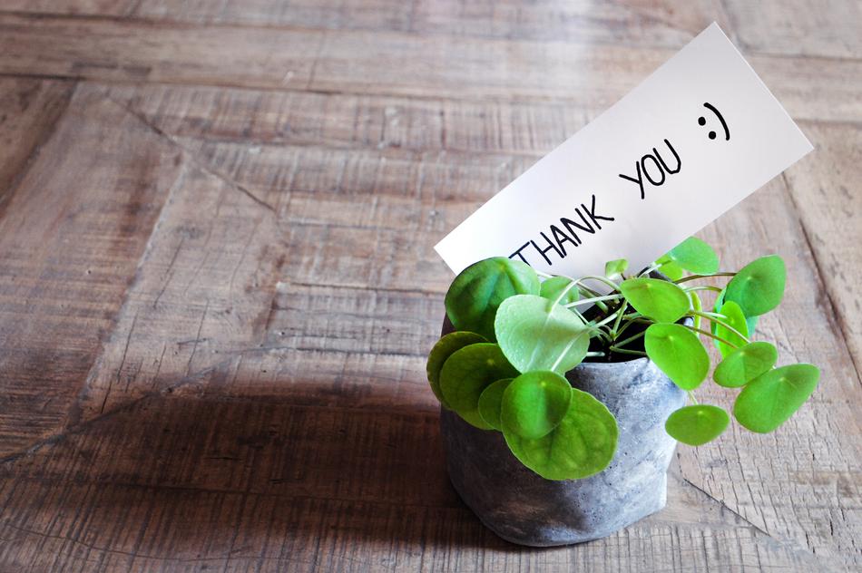 Thank You, Card in pot with plant on floor