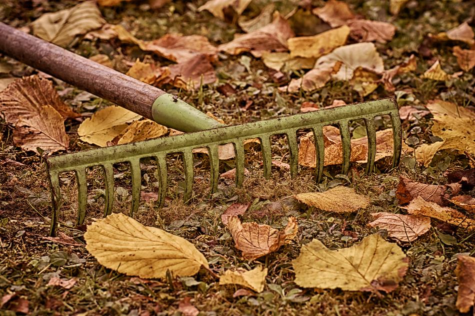 Autumn Gardening tool
