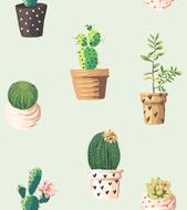 wallpaper with cactus plants