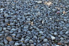 large gray natural pebbles