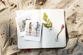 Adventure Beach Carefree book