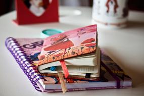 two bright notebooks on the table