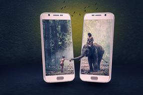 image of people in the jungle on smartphone screens