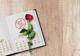 Calendar and Rose