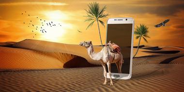 Beautiful, cute and colorful camel, walking out of the smartphone, among the colorful and beautiful desert, in colorful light, clipart