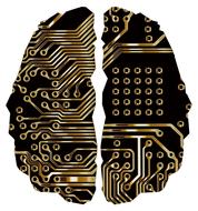 brain circuit board drawing