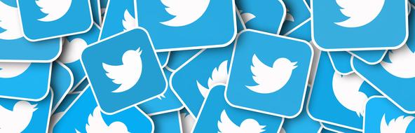twitter social media icon drawing
