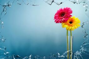 Artwork Colorful flowers