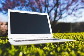 white laptop on the green grass