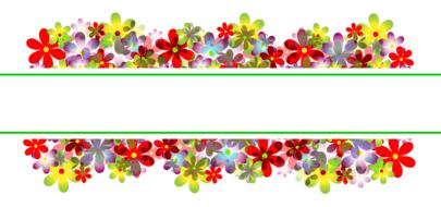 colorful flowers as a banner