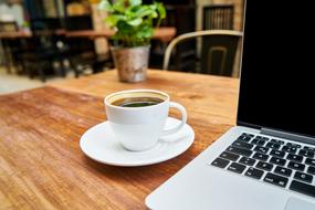 cup of coffee, potted flower and laptop on a wooden table