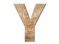 Colorful, wooden "Y" letter, at white background, clipart