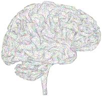 brain 3d thought drawing