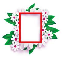 photo frame with transparent background