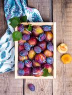 Plum Fruit Food