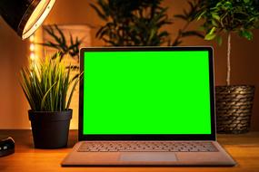 Computer Greenscreen with the plants on background