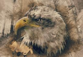 Beautiful drawing of the bald eagle with yellow beak, among the trees, on the vintage paper