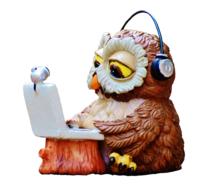 Figure of the owl with the laptop clipart on white background