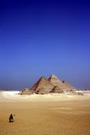 Camel and pyramids in Desert, egypt, giza