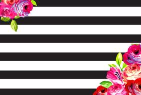 Black and white striped background with the colorful flowers clipart