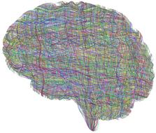 brain psychology mind drawing