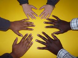 hands as a symbol of team spirit