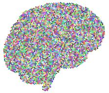 brain colorful geometric drawing