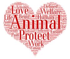 word cloud donation heart drawing