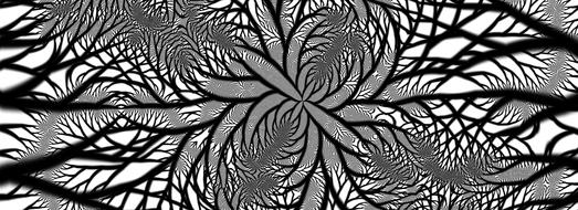 fractal symmetry pattern drawing