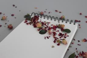 Flower Notebook