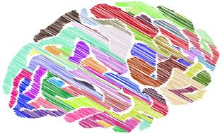 drawn brain with colorful pencils