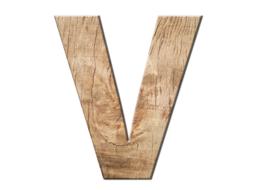 wooden letter v on white background