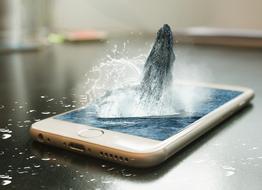 digital image of a whale on a smartphone screen