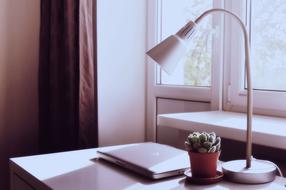 Macbook Laptop and lamp with the plant on the table