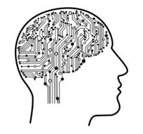 machine learning in brain as a drawing
