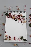 flowers on Background Notebook