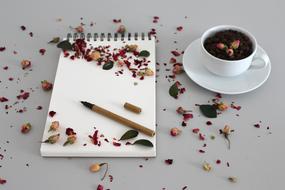 dry flowers on notebook and in cup with drink at grey desk