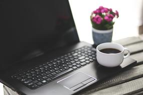 Break in Work, cup with coffee on laptop