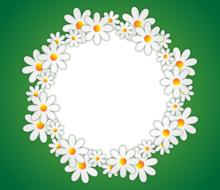 round photo frame with white flowers at green background