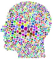 colors cranium head drawing