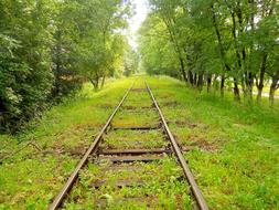 Landscape of Tracks Way on field