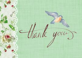 thank you greeting bird drawing